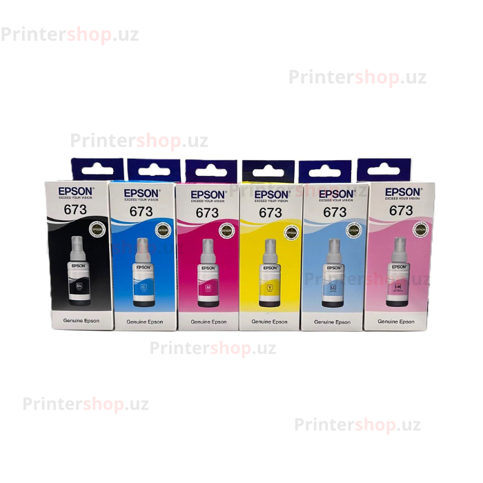 Epson 673