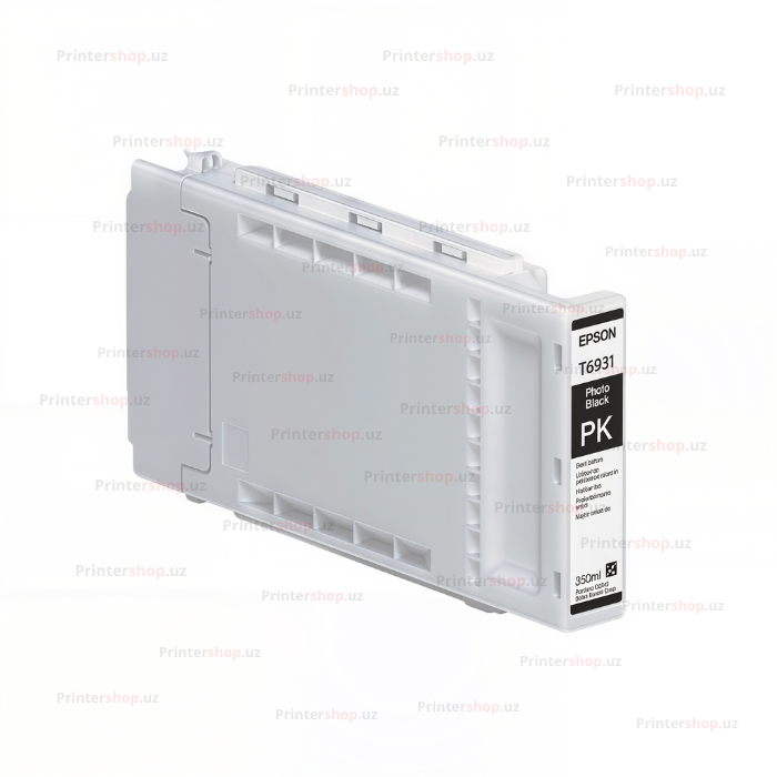 Epson T6931 Photo Black