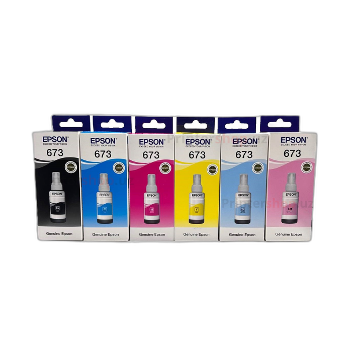 Epson 673